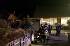 dovje1-1